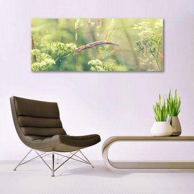 Glass Wall Art Wild plants floral white green brown