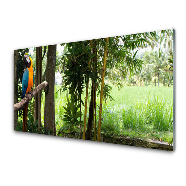 Glass Wall Art Parrot trees nature blue yellow brown green