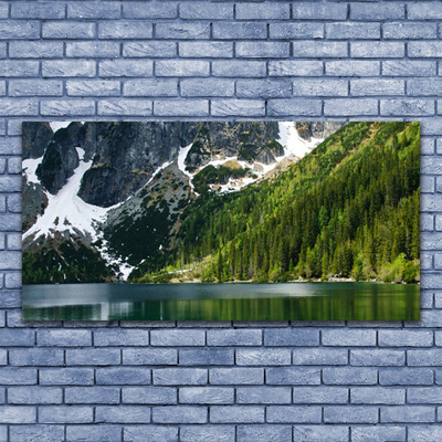 Glass Wall Art Lake forest mountains landscape grey white green