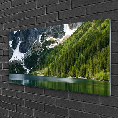Glass Wall Art Lake forest mountains landscape grey white green
