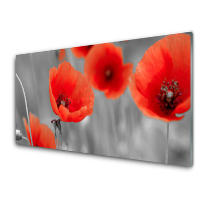 Glass Wall Art Poppies floral red grey