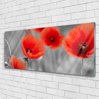 Glass Wall Art Poppies floral red grey