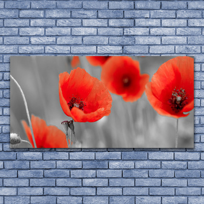 Glass Wall Art Poppies floral red grey