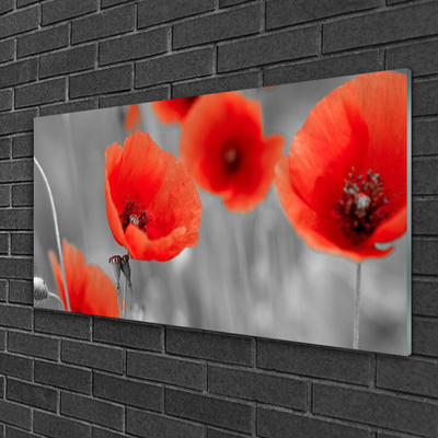 Glass Wall Art Poppies floral red grey