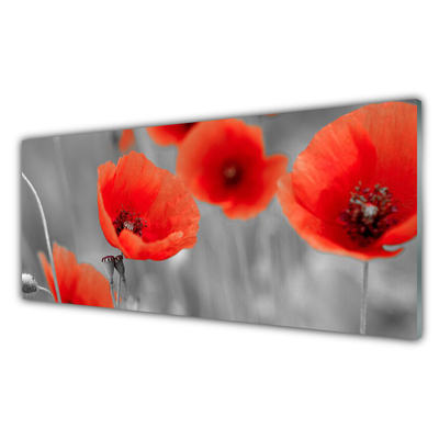 Glass Wall Art Poppies floral red grey