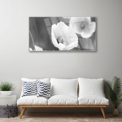 Glass Wall Art Poppies floral grey