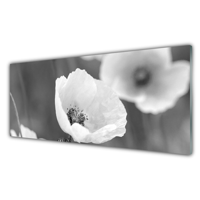 Glass Wall Art Poppies floral grey