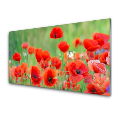 Glass Wall Art Poppies floral red black