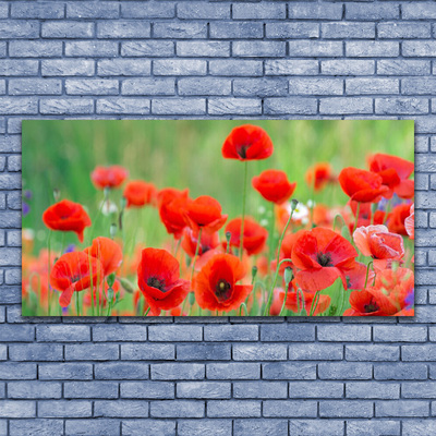 Glass Wall Art Poppies floral red black