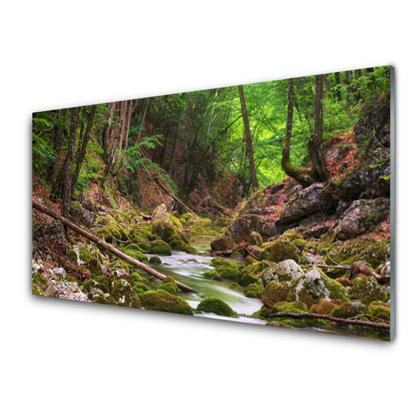 Glass Wall Art Forest nature brown green