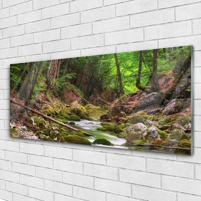 Glass Wall Art Forest nature brown green