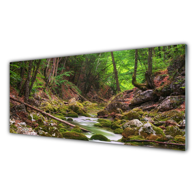 Glass Wall Art Forest nature brown green