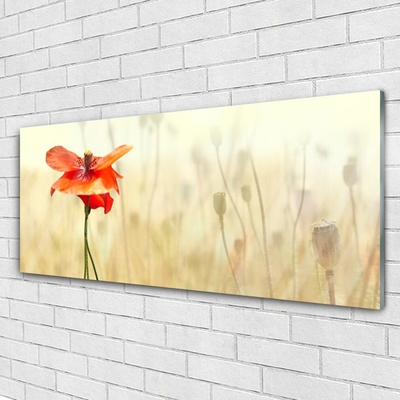 Glass Wall Art Poppy floral red green