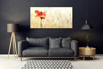 Glass Wall Art Poppy floral red green