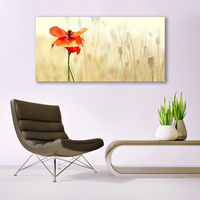 Glass Wall Art Poppy floral red green