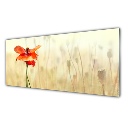 Glass Wall Art Poppy floral red green