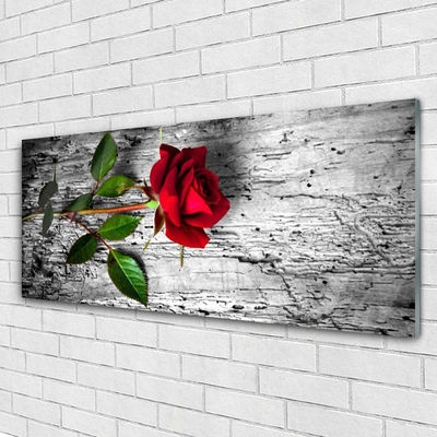 Glass Wall Art Rose floral red green