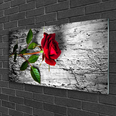 Glass Wall Art Rose floral red green