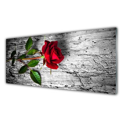 Glass Wall Art Rose floral red green