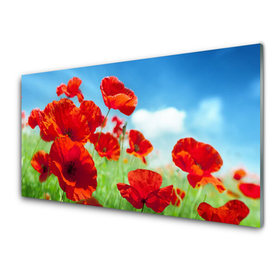 Glass Wall Art Poppies floral red