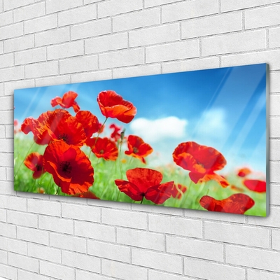 Glass Wall Art Poppies floral red