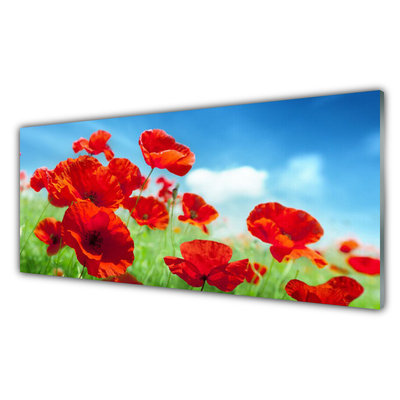 Glass Wall Art Poppies floral red