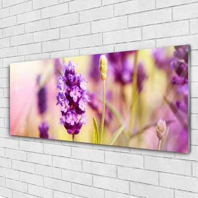 Glass Wall Art Flowers floral pink