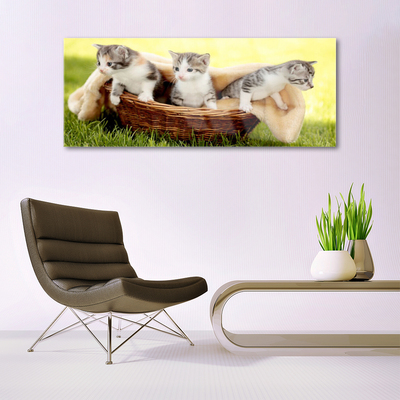 Glass Wall Art Cats animals grey white brown