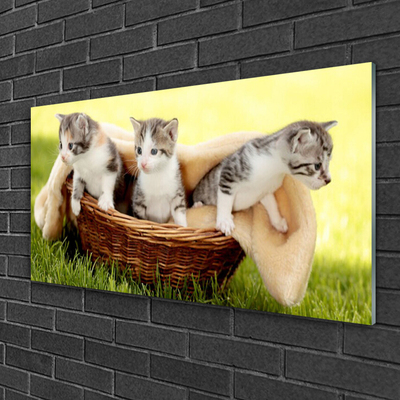 Glass Wall Art Cats animals grey white brown