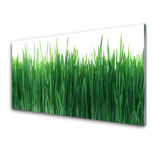 Glass Wall Art Weed nature green