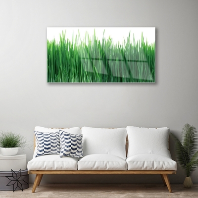 Glass Wall Art Weed nature green