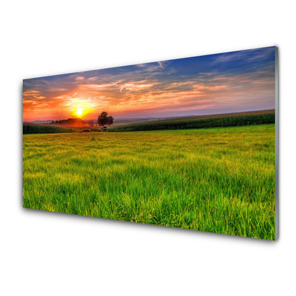 Glass Wall Art Meadow sun nature green yellow purple