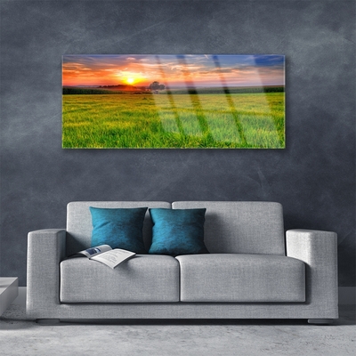 Glass Wall Art Meadow sun nature green yellow purple