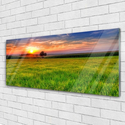 Glass Wall Art Meadow sun nature green yellow purple