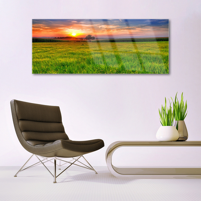 Glass Wall Art Meadow sun nature green yellow purple