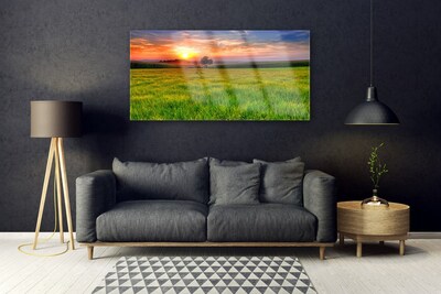 Glass Wall Art Meadow sun nature green yellow purple