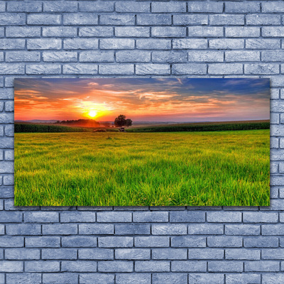 Glass Wall Art Meadow sun nature green yellow purple