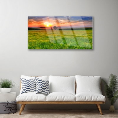 Glass Wall Art Meadow sun nature green yellow purple