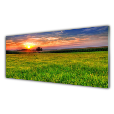 Glass Wall Art Meadow sun nature green yellow purple