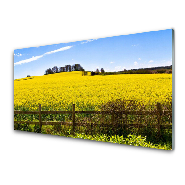 Glass Wall Art Field landscape green