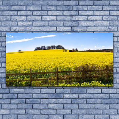 Glass Wall Art Field landscape green