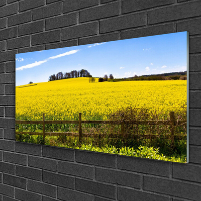 Glass Wall Art Field landscape green