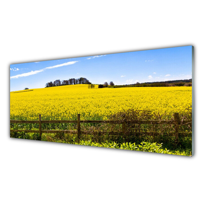 Glass Wall Art Field landscape green