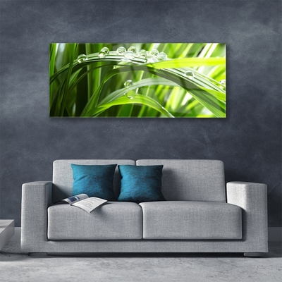 Glass Wall Art Grass water drops nature green