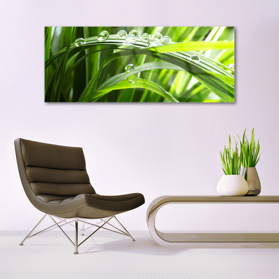 Glass Wall Art Grass water drops nature green