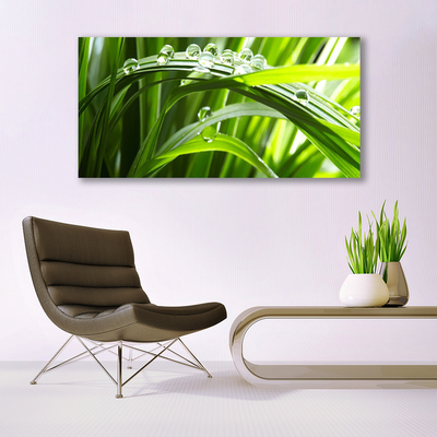 Glass Wall Art Grass water drops nature green