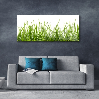 Glass Wall Art Grass nature green