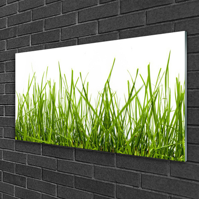 Glass Wall Art Grass nature green