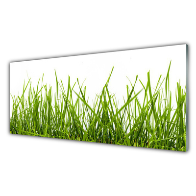 Glass Wall Art Grass nature green