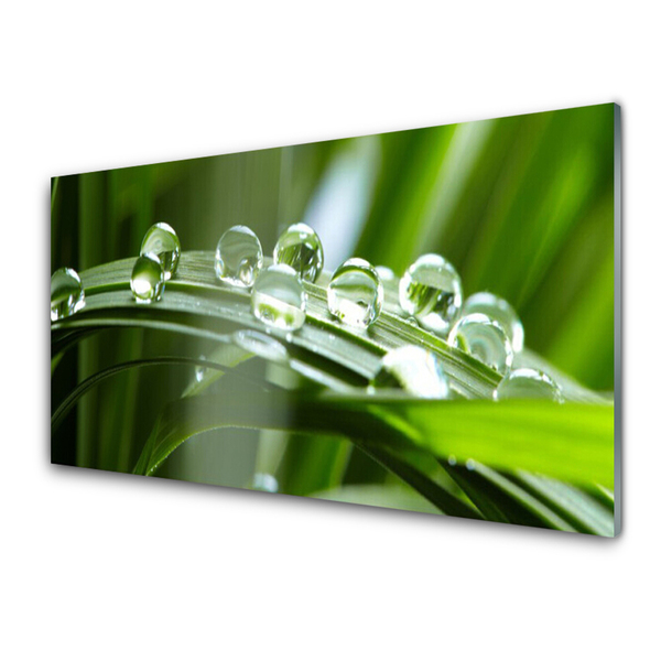 Glass Wall Art Grass dew drops floral green